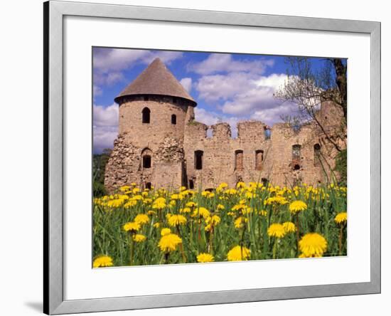 Dandelions Surround Cesis Castle, Latvia-Janis Miglavs-Framed Photographic Print