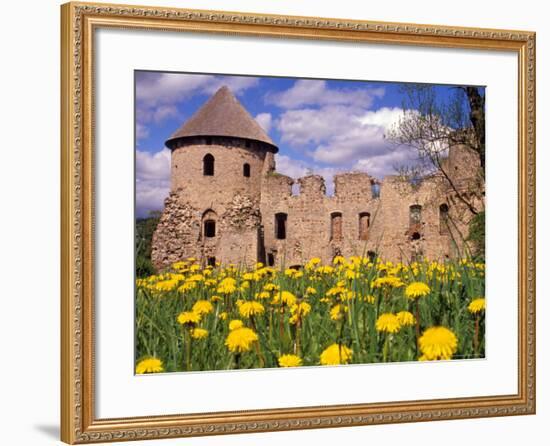 Dandelions Surround Cesis Castle, Latvia-Janis Miglavs-Framed Photographic Print