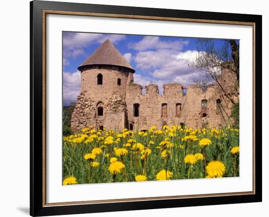 Dandelions Surround Cesis Castle, Latvia-Janis Miglavs-Framed Photographic Print