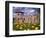 Dandelions Surround Cesis Castle, Latvia-Janis Miglavs-Framed Photographic Print