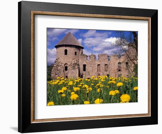 Dandelions Surround Cesis Castle, Latvia-Janis Miglavs-Framed Photographic Print