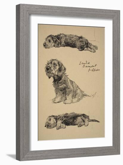 Dandie Dinmont Puppies, 1930, Just Among Friends, Aldin, Cecil Charles Windsor-Cecil Aldin-Framed Giclee Print