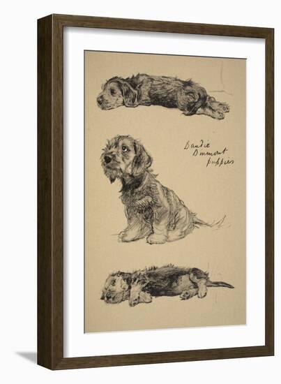 Dandie Dinmont Puppies, 1930, Just Among Friends, Aldin, Cecil Charles Windsor-Cecil Aldin-Framed Giclee Print