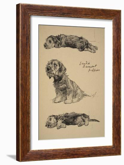 Dandie Dinmont Puppies, 1930, Just Among Friends, Aldin, Cecil Charles Windsor-Cecil Aldin-Framed Giclee Print