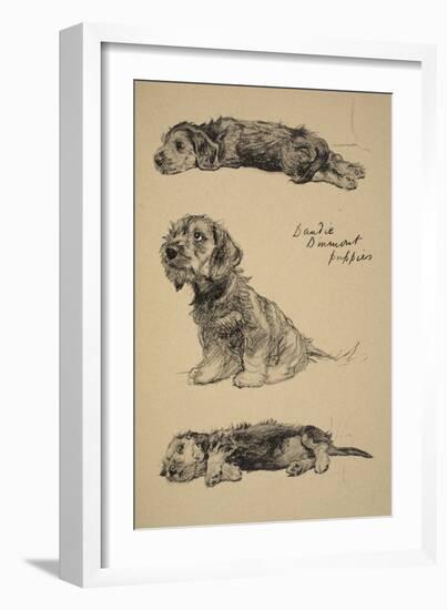 Dandie Dinmont Puppies, 1930, Just Among Friends, Aldin, Cecil Charles Windsor-Cecil Aldin-Framed Giclee Print