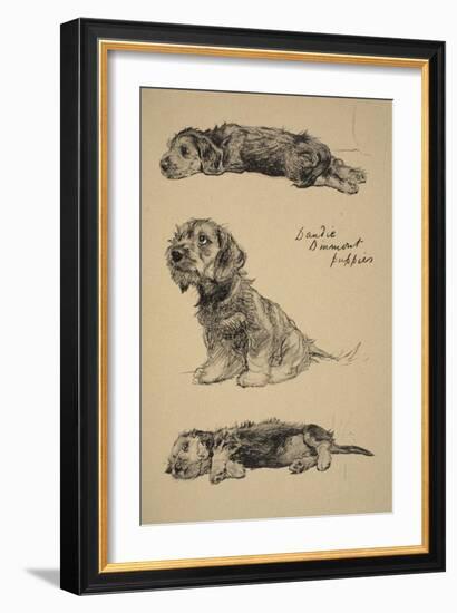 Dandie Dinmont Puppies, 1930, Just Among Friends, Aldin, Cecil Charles Windsor-Cecil Aldin-Framed Giclee Print
