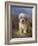 Dandie Dinmont Terrier-Lilian Cheviot-Framed Giclee Print