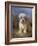 Dandie Dinmont Terrier-Lilian Cheviot-Framed Giclee Print