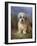 Dandie Dinmont Terrier-Lilian Cheviot-Framed Giclee Print