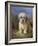 Dandie Dinmont Terrier-Lilian Cheviot-Framed Giclee Print