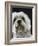 Dandie Dinmonts Terrier-Peter M. Fisher-Framed Photographic Print