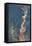 Dandy Leaves II-Ken Roko-Framed Stretched Canvas