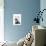 Dandy Meerkat Portrait-Fab Funky-Premium Giclee Print displayed on a wall