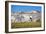 Dane Cronin Rides Through Telluride Ski Resort, San Juan Mts Loom On Horizon. Telluride, Colorado-Dan Holz-Framed Photographic Print