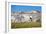 Dane Cronin Rides Through Telluride Ski Resort, San Juan Mts Loom On Horizon. Telluride, Colorado-Dan Holz-Framed Photographic Print