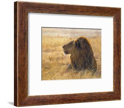 John Banovich Danger on the Wind Lion African Art Print Poster 32x27