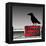 Danger Plate and Crow-oxlock-Framed Stretched Canvas