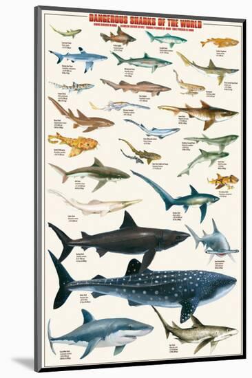 Dangerous Sharks-null-Mounted Premium Giclee Print