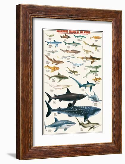 Dangerous Sharks-null-Framed Premium Giclee Print