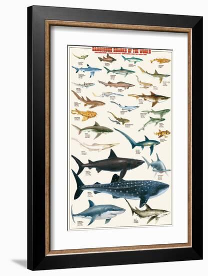 Dangerous Sharks-null-Framed Premium Giclee Print