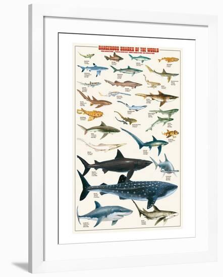 Dangerous Sharks-null-Framed Art Print