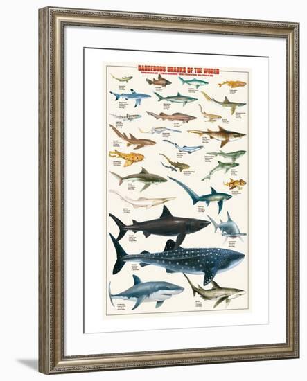 Dangerous Sharks-null-Framed Art Print