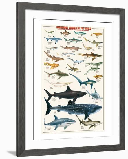 Dangerous Sharks-null-Framed Art Print