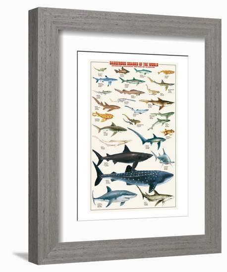 Dangerous Sharks-null-Framed Art Print