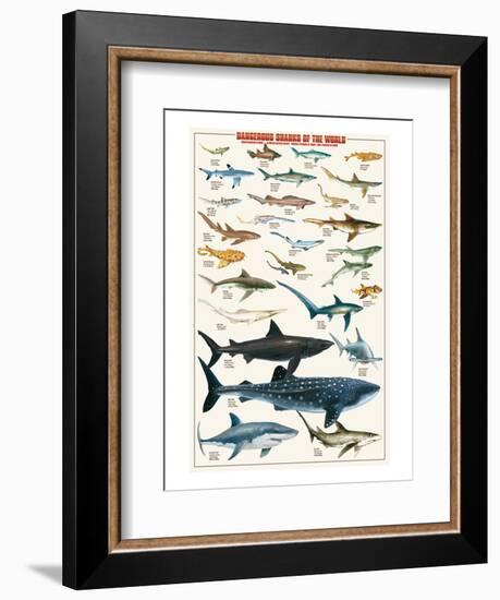 Dangerous Sharks-null-Framed Art Print