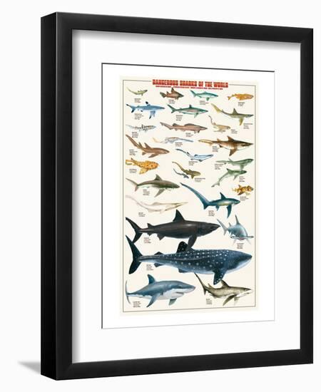 Dangerous Sharks-null-Framed Art Print