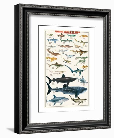 Dangerous Sharks-null-Framed Art Print