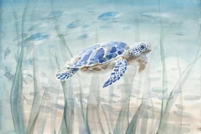 Tortoise & Sea Turtle Wall Art: Prints, Paintings and Posters