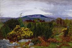 Spring, Arnside Knot from Warton Crag, C.1863-Daniel Alexander Williamson-Mounted Giclee Print