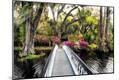 Photographic Print