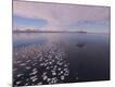 Photographic Print