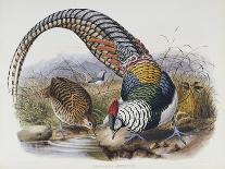 A Monograph of the Phasianidae or Family of Pheasants, 1872-Daniel Giraud Elliot-Framed Giclee Print