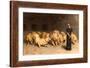 Daniel in the Lions' Den, 1872-Briton Rivi?re-Framed Giclee Print