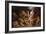 Daniel in the Lions' Den. Ca. 1614 - 16-Peter Paul Rubens-Framed Giclee Print