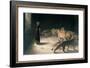 Daniel in the Lions Den, Mezzotint by J. B. Pratt, with Hand Colouring-Briton Rivi?re-Framed Giclee Print