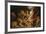 Daniel in the Lions' Den-Peter Paul Rubens-Framed Premium Giclee Print