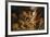 Daniel in the Lions' Den-Peter Paul Rubens-Framed Premium Giclee Print