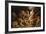 Daniel in the Lions' Den-Peter Paul Rubens-Framed Premium Giclee Print