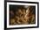 Daniel in the Lions' Den-Peter Paul Rubens-Framed Premium Giclee Print