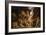 Daniel in the Lions' Den-Peter Paul Rubens-Framed Giclee Print