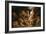 Daniel in the Lions' Den-Peter Paul Rubens-Framed Giclee Print