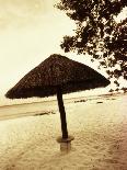 Palapa Umbrella on the Beach, Cancun, Mexico-Daniel J. Cox-Framed Photographic Print