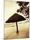 Photographic Print