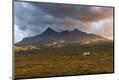 Photographic Print