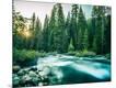 Photographic Print