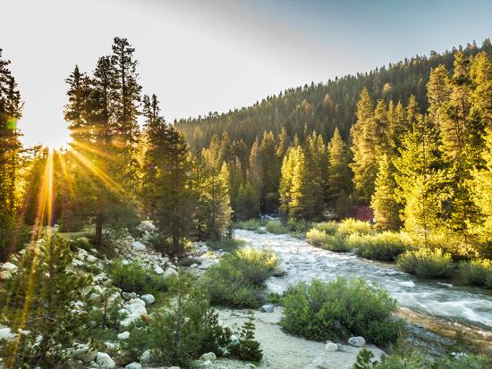 Premium Photographic Print, , large